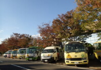 全園の園バスで